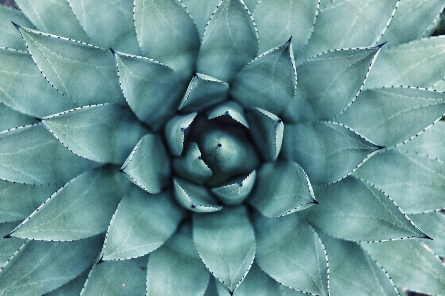 Discover the Benefits of Mindful Living